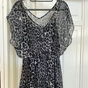 Medium Express women’s leopard print knee length